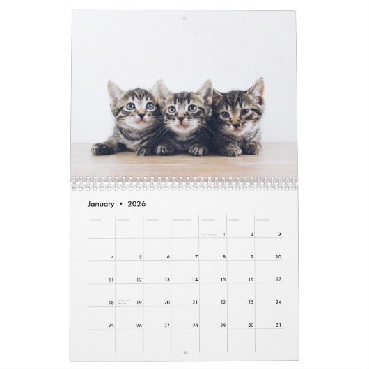 可愛い猫ペットおもしろいの写真を作る カレンダー (1月 2026)