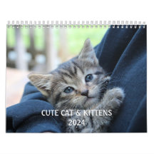 可愛い猫ペットおもしろいの写真を作る