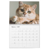 可愛い猫ペットおもしろいの写真を作る カレンダー (2月 2027)