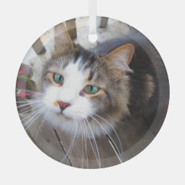 可愛い猫ペット好きが自分のを生みカスタム出す ガラスオーナメント