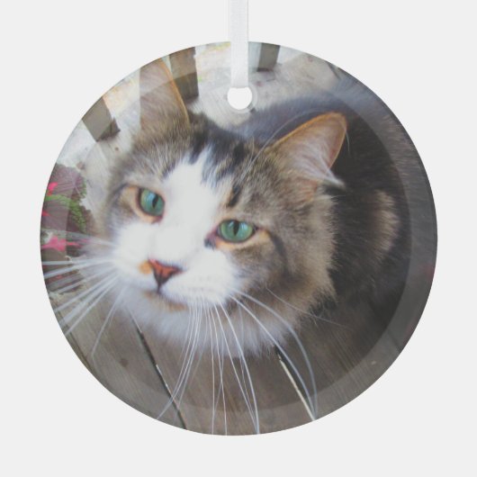 可愛い猫ペット好きが自分のを生みカスタム出す ガラスオーナメント (正面)