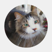 可愛い猫ペット好きが自分のを生みカスタム出す ガラスオーナメント (裏面)