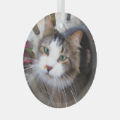 可愛い猫ペット好きが自分のを生みカスタム出す ガラスオーナメント (正面右)