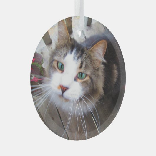可愛い猫ペット好きが自分のを生みカスタム出す ガラスオーナメント (正面右)