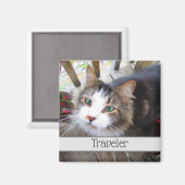 可愛い猫ペット好きが自分のマグネットを作カスタムり出す マグネット (正面/裏面)