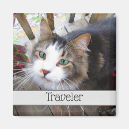 可愛い猫ペット好きが自分のマグネットを作カスタムり出す マグネット