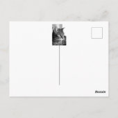 可愛い猫ポートレート – 思想家 ポストカード (裏面)