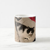 可愛い猫マグ コーヒーマグカップ (中央)