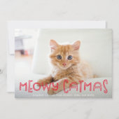 可愛い猫ミオイ猫モダンクリスマスワンフォト シーズンカード (正面)