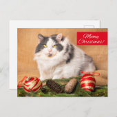 可愛い猫ユーモアあふれる聖降誕祭 シーズンポストカード (正面/裏面)