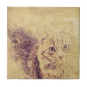 可愛い猫好きペンシルのスケッチ灰色のタビーネコ タイル (正面)