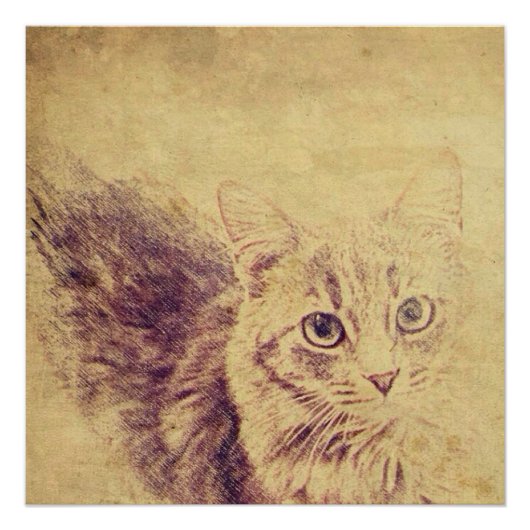 可愛い猫好きペンシルのスケッチ灰色のタビーネコ ポスター (正面)