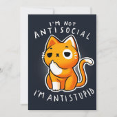 可愛い猫子猫プレゼント|クリスマス猫 (正面)