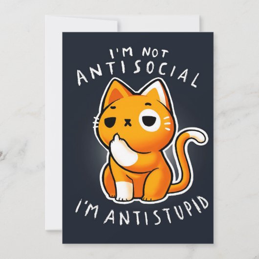 可愛い猫子猫プレゼント|クリスマス猫 (正面)