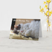 可愛い猫恋しく思のグリーティングカード カード (黄色い花)