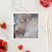 可愛い猫紙ナプキン スタンダードカクテルナプキン (インサイチュ)