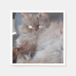 可愛い猫紙ナプキン スタンダードカクテルナプキン