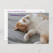 可愛い猫考えのハガキ ポストカード (正面/裏面)
