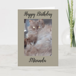 可愛い猫誕生日カード カード