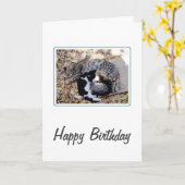 可愛い猫3匹が丸まって寝込み誕生日 カード (黄色い花)