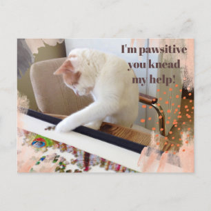 可愛い猫「ひざまずいて楽し救済い」 ポストカード
