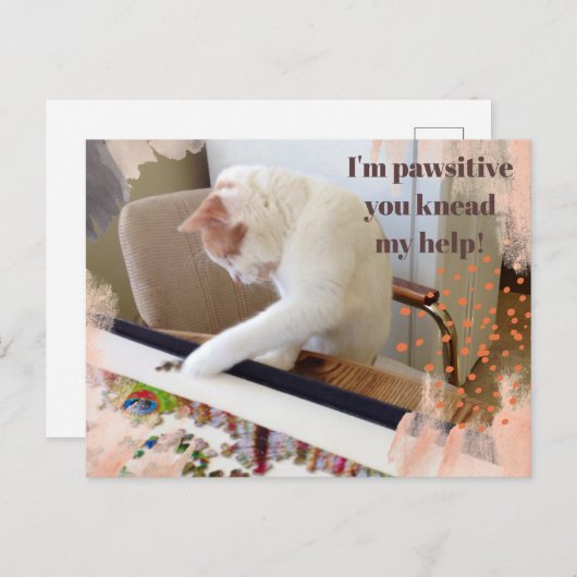 可愛い猫「ひざまずいて楽し救済い」 ポストカード (正面/裏面)