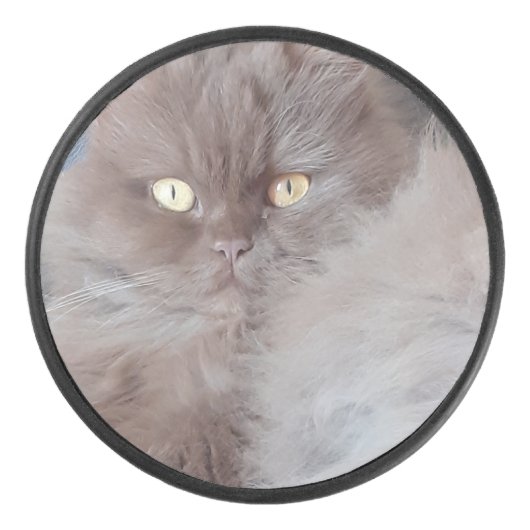 可愛い猫 アイスホッケーパック (正面)