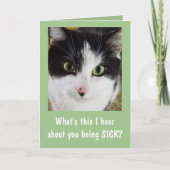 可愛い猫 カード (正面)