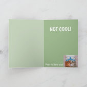 可愛い猫 カード (内部)