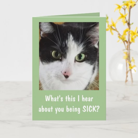 可愛い猫 カード (黄色い花)