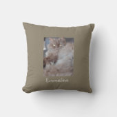 可愛い猫 クッション (正面)