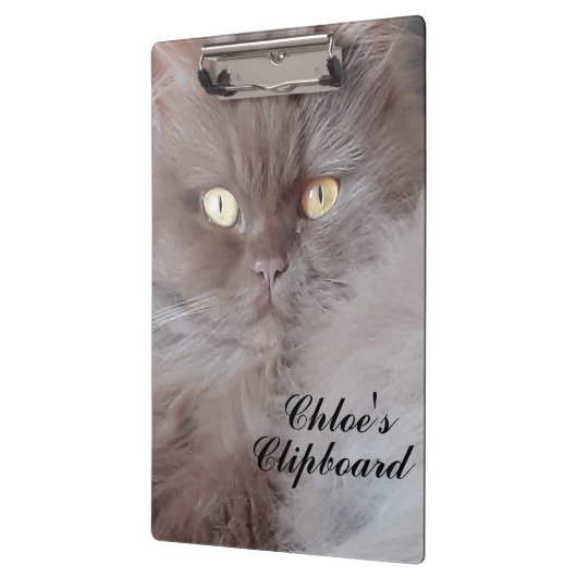 可愛い猫 クリップボード (左)