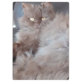 可愛い猫 クリップボード (裏面)