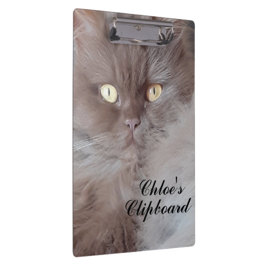 可愛い猫 クリップボード (右)