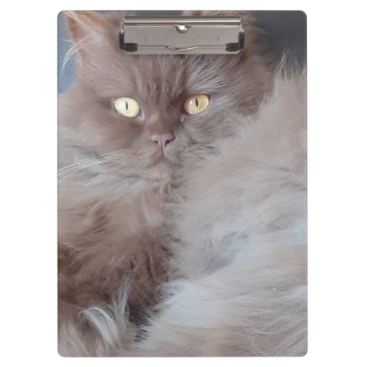 可愛い猫 クリップボード (正面)