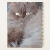 可愛い猫 プランナー手帳 (裏面)