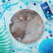 可愛い猫 ペーパープレート (パーティー)