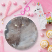 可愛い猫 ペーパープレート (パーティー)