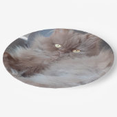 可愛い猫 ペーパープレート (アングル)