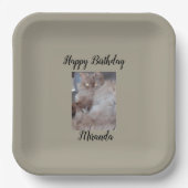 可愛い猫 ペーパープレート (正面)