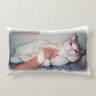 可愛い猫["You can hold me often" a cat 'kawaii'] ランバークッション