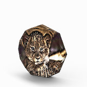 可愛い獅子の子 フォトブロック (右)