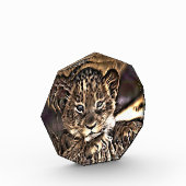 可愛い獅子の子 フォトブロック (左)