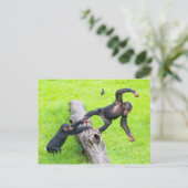 可愛い生意気なベビー遊のチンパンジーが丸太に ポストカード (スタンド正面)