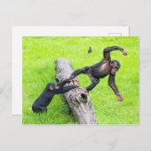 可愛い生意気なベビー遊のチンパンジーが丸太に ポストカード (正面/裏面)