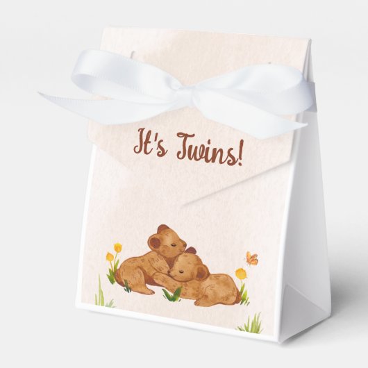 可愛い男女兼用双子の赤ちゃんシャワー フェイバーボックス (正面サイド)