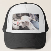 可愛い白犬のぶら下がったパパ最高のの写真 キャップ (正面)