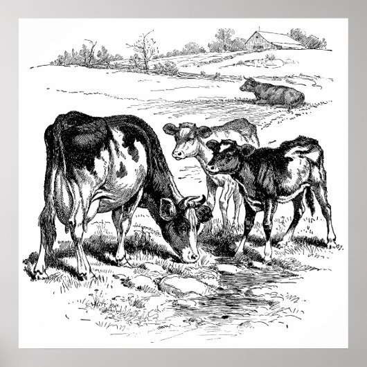可愛い白黒ファーム牛の装飾ポスターヴィンテージ ポスター (正面)