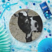 可愛い白黒ベビーヤギ写真 ペーパープレート (パーティー)