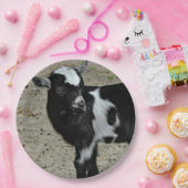 可愛い白黒ベビーヤギ写真 ペーパープレート (パーティー)